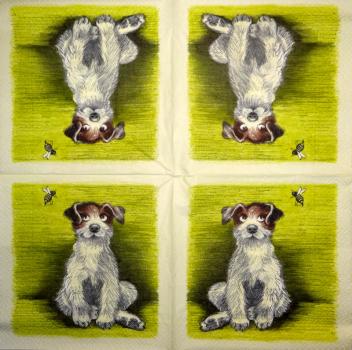 151 Hunde - 3-lagig (blau)